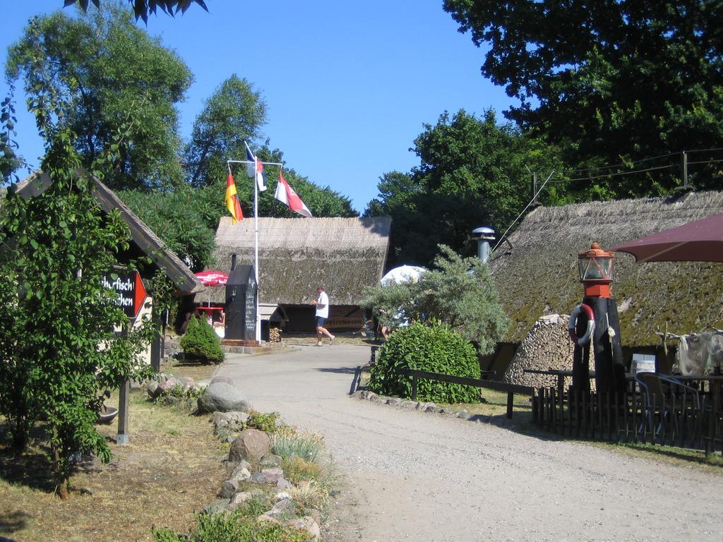 Am Kuestenwald Koserow Екстериор снимка